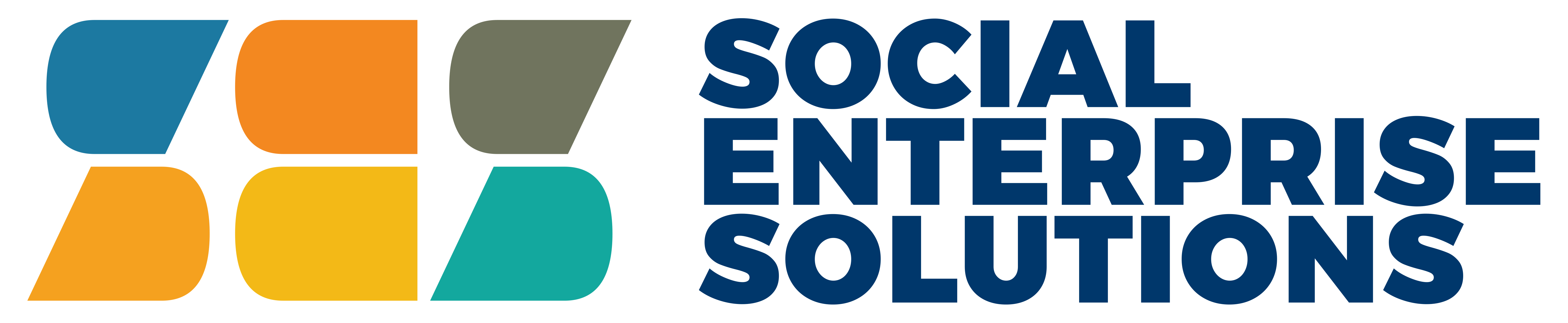 Social Enterprise Solutions